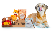 Obsessed with your dog? Then this box will be a treat for you and your four-legged best friend. Each box comes filled with two toys, two bags of all-natural treats, and a dental chew. You can tailor the box based on the dog's size and dietary restrictions, and the price of the box goes down with longer subscriptions. $35, BarkBox. <a href="https://www.barkbox.com/gift" rel="nofollow noopener" target="_blank" data-ylk="slk:Get it now!" class="link ">Get it now!</a>