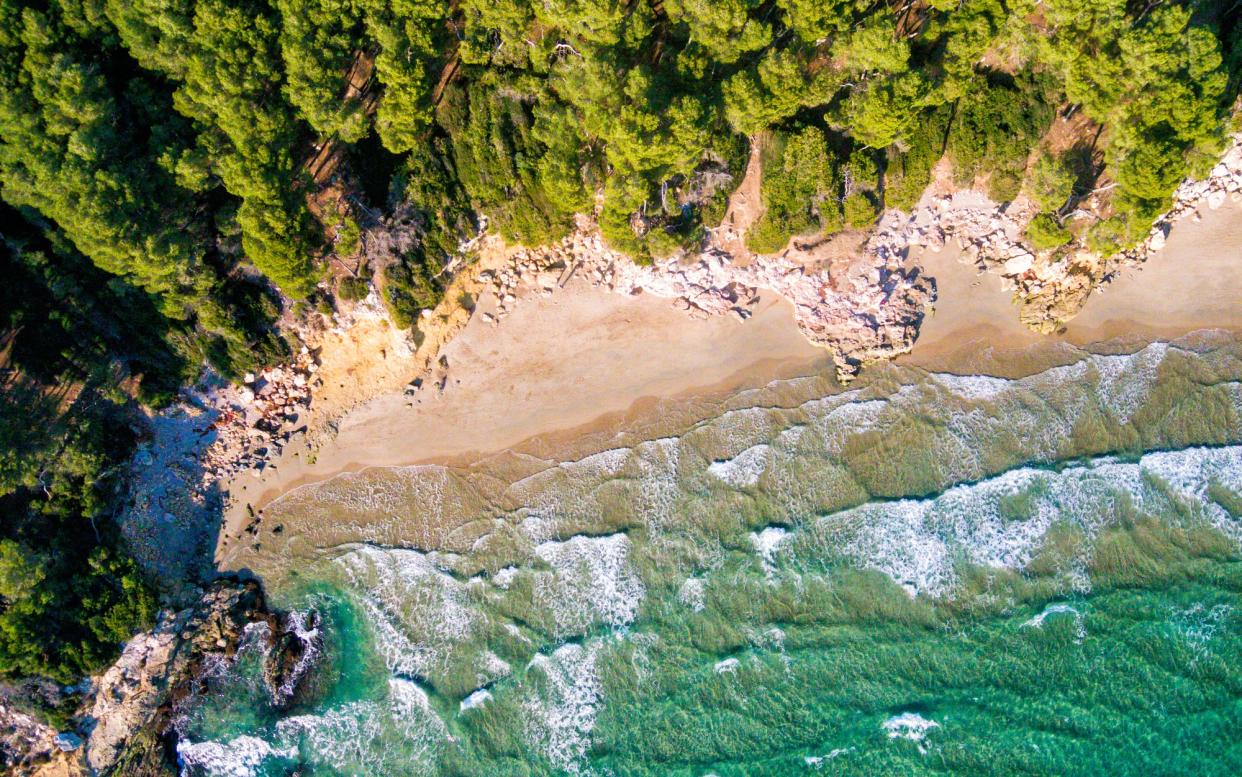 Trillas Platja Tamarit - getty