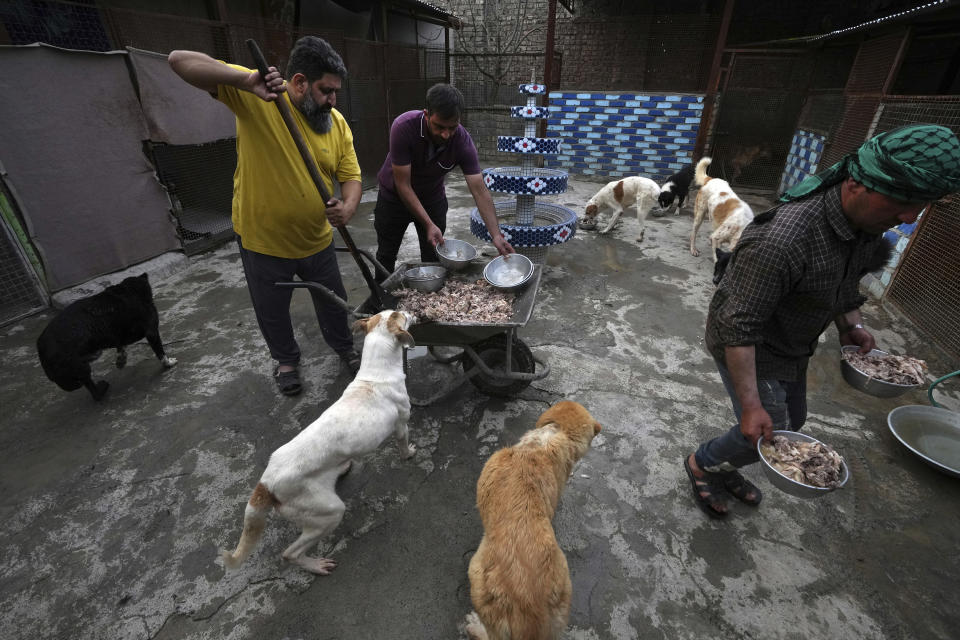 Iranian cleric Sayed Mahdi Tabatabaei, left, and his co-workers feed impaired stray dogs at his shelter outside the city of Qom, 80 miles (125 kilometers) south of the capital Tehran, Iran, Sunday, May 21, 2023. It's rare these days for a turbaned cleric in Iran to attract a large following of adoring young fans on Instagram, but Tabatabaei has done it by rescuing street dogs in defiance of a local taboo. (AP Photo/Vahid Salemi)