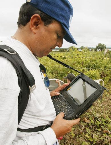 Un técnico en antropología forense chequea en una computadora los resultados de una búsqueda de restos humanos en un área donde se identificó un cementerio clandestino de la dictadura en Xambioa, Brasil, el 6 de marzo de 2004 (AFP/Archivos | Vanderlei Almeida)