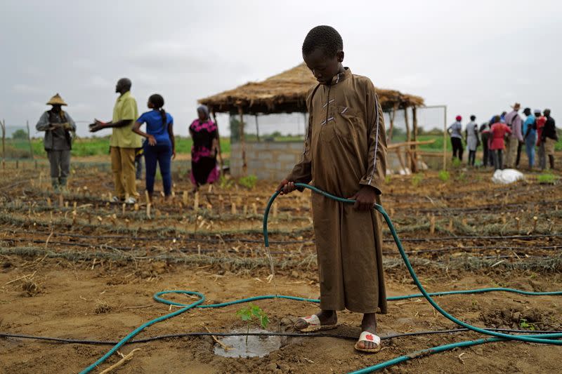 The Wider Image: Senegalese plant circular gardens in Green Wall defence against desert