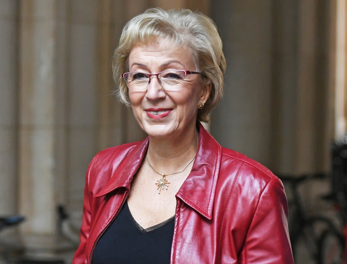 Dame Andrea Leadsom (PA Media)