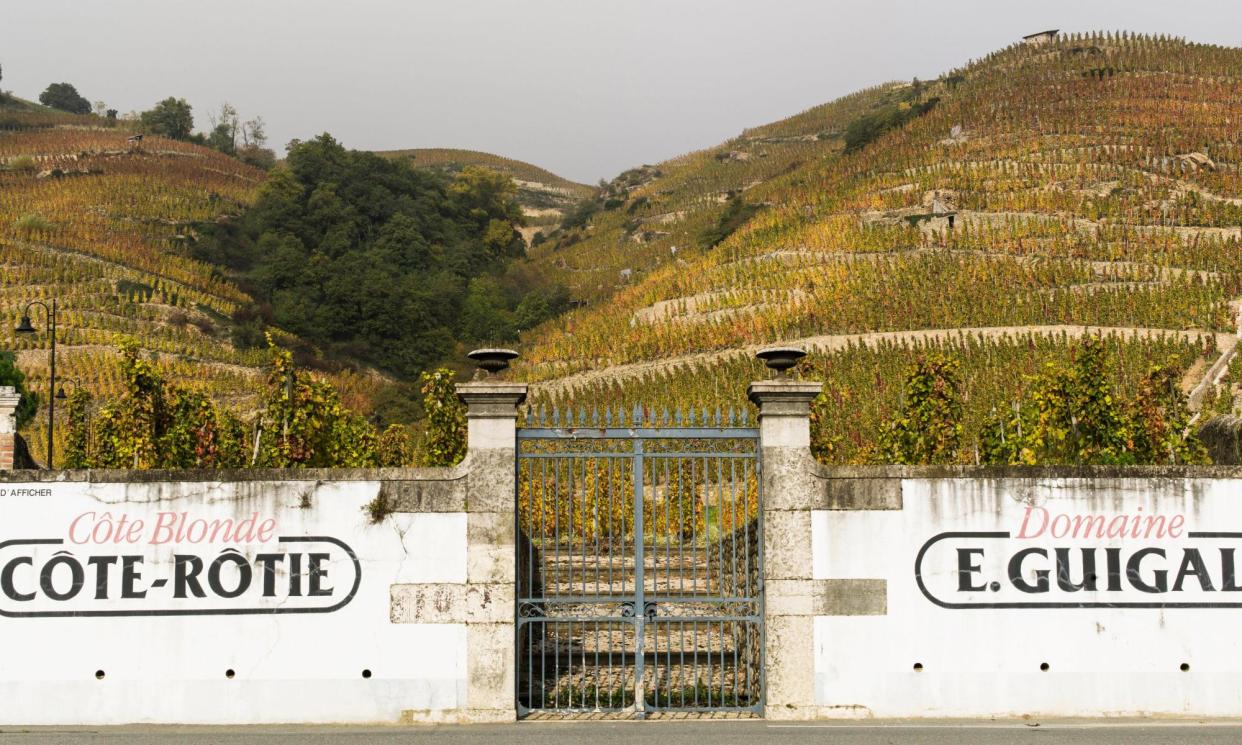 <span>Terroir for a tipple … Côte-Rôtie and the Guigal estate at Ampuis were among the visits made by the author while staying at Saint-Clair-Les Roches near Condrieu.</span><span>Photograph: Hemis/Alamy</span>