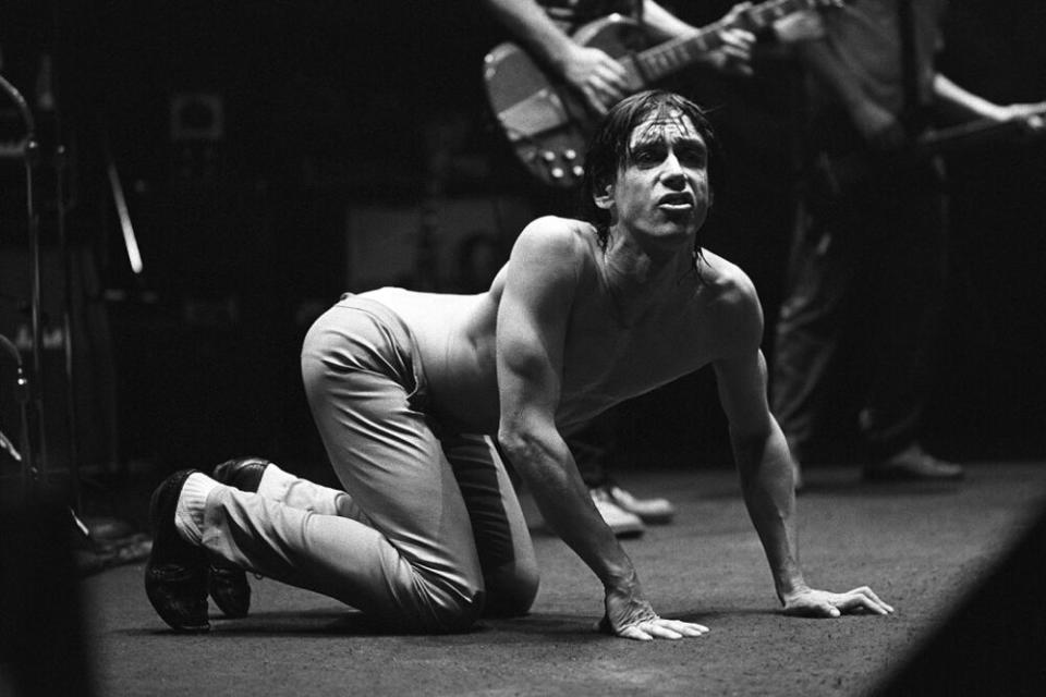 Iggy Pop in 1979