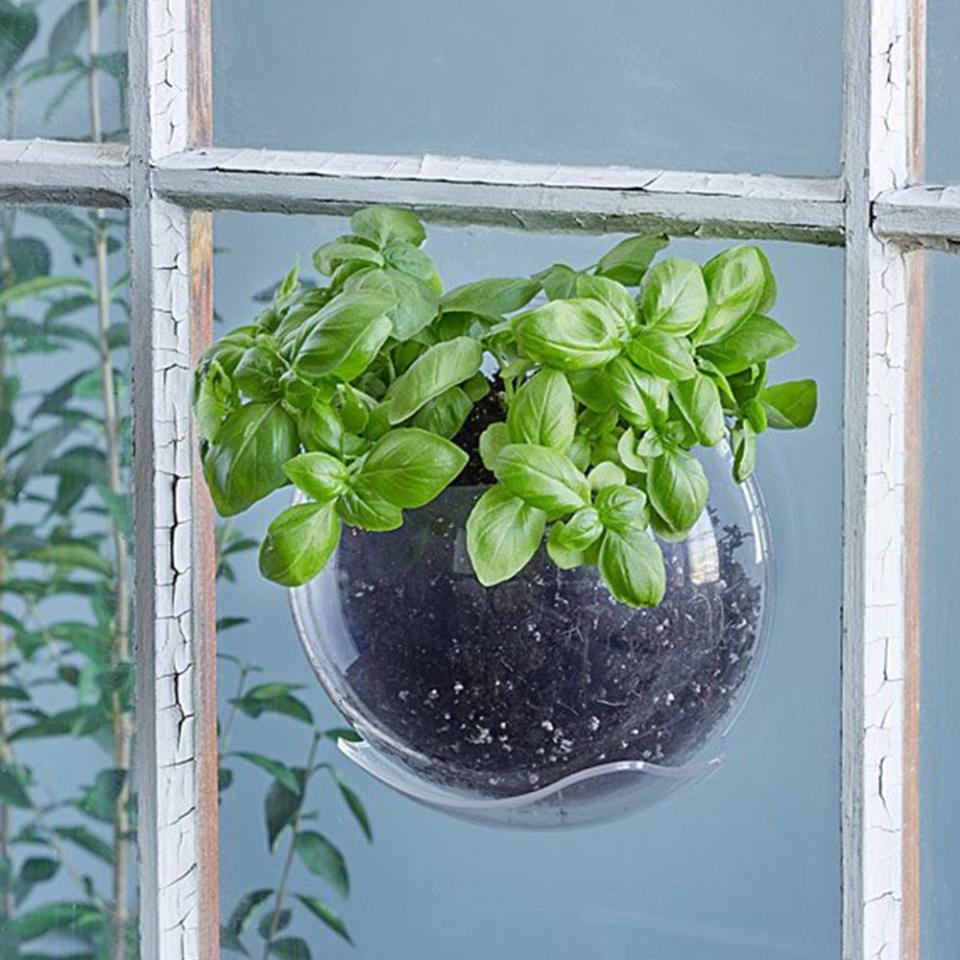 9) Window Plant Pod
