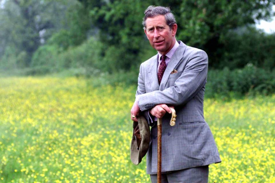 The Prince of Wales visiting a Wiltshire hay meadow (Stefan Rousseau/PA) (PA Archive)