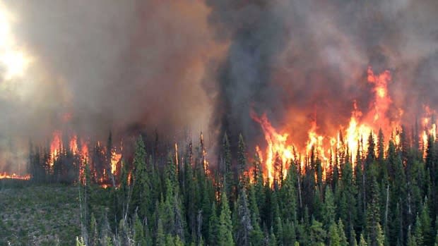 B.C. Wildfire Service