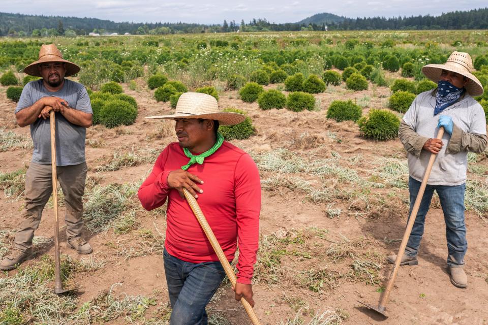 Pedro Lucas, center, nephew of farmworker Sebastian Francisco Perez, who died while working in an extreme heatwave, talks about his uncle's death, on July 1, 2021, near St. Paul, Ore.