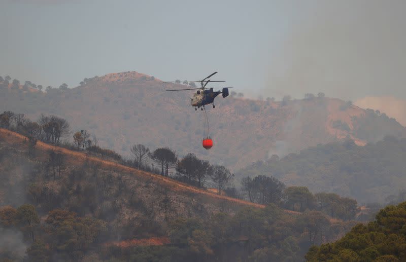 Firefighters battle wildfire burning Sierra Bermeja mountain