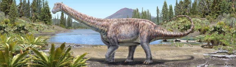 Plant-eating dinosaur whose remains scientists discovered in the Atacama Desert