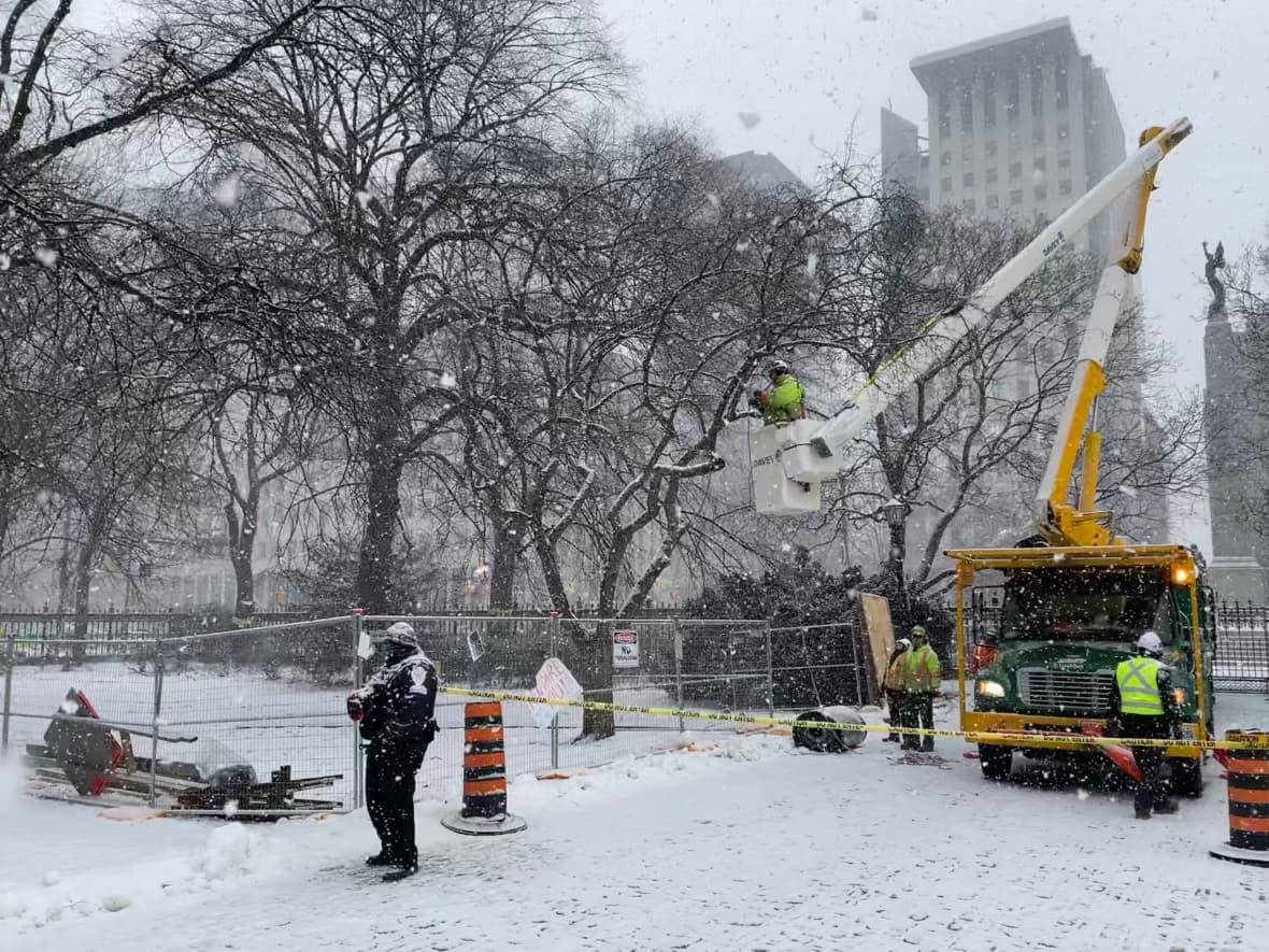 The removal of centuries-old trees on Osgoode Hall property began on Saturday morning, before Metrolinx agreed to cease operations pending a judge's decision on an injunction. (CBC - image credit)