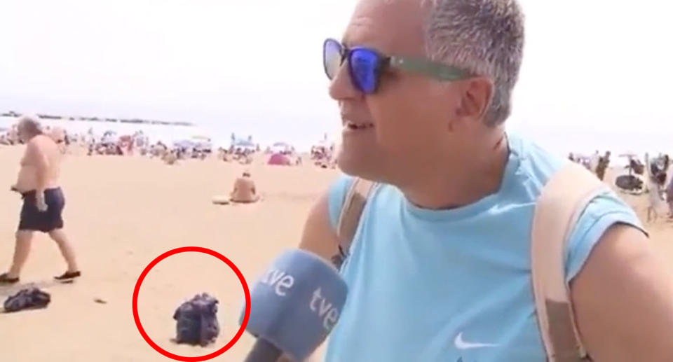 A video broadcast on national television captured a robber stealing a man's bag at a beach in Barcelona. Source: TVE 