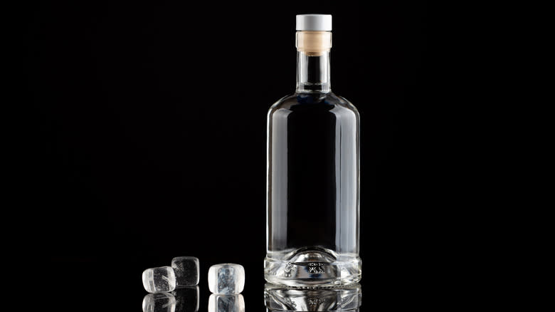 vodka bottle on black background