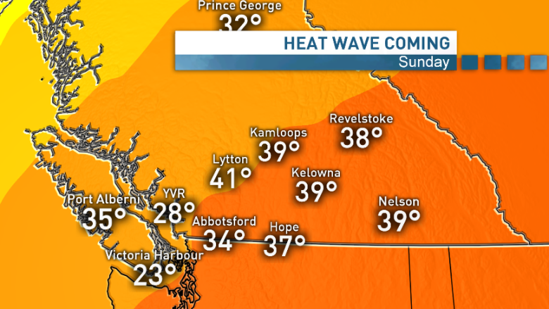 B.C. heat wave: Why heat is more dangerous for seniors