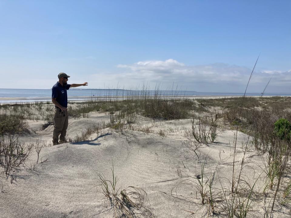 Joseph Colbert, who serves as wildlife manager at Jekyll Island Authority, on the south end of Jekyll Island indicating a hopeful future Muhly grass habitat restoration project.