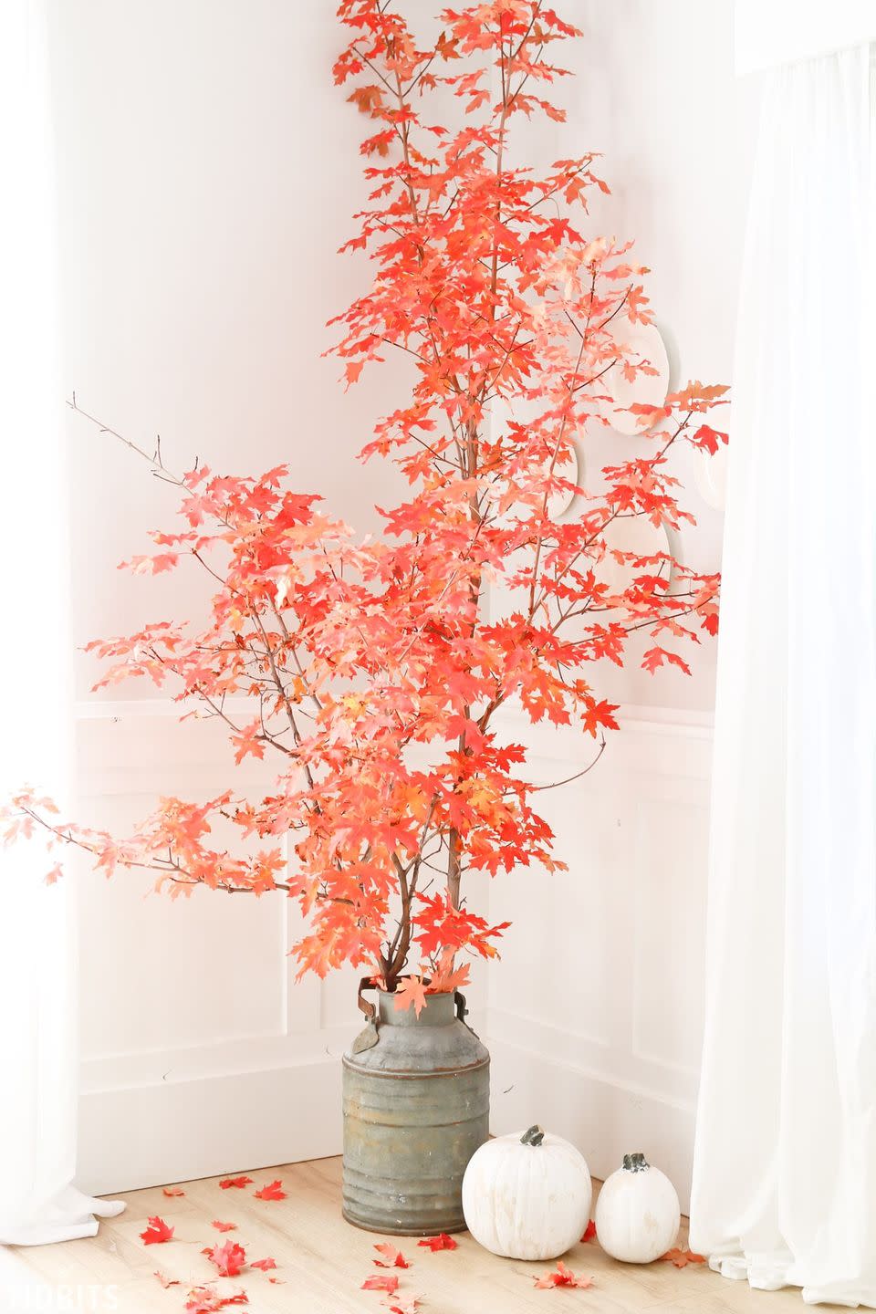 Indoor Fall Tree