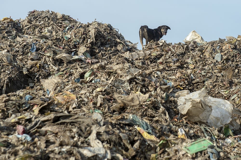 Piles of plastic are seen at an illegal recycling site in Jenjarom, Banting March 26, 2019. — Picture by Mukhriz Hazim