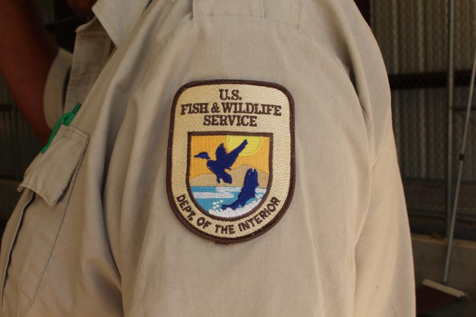 The U.S Fish and Wildlife Service helps manage fisheries on public lands in the White Mountains.