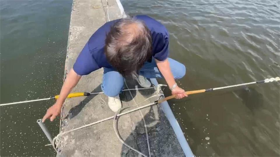 小犬颱風估直撲南台　枋寮養殖業加緊防颱