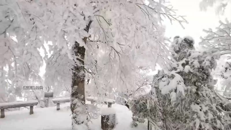 遊客上山除了賞景，更想在融雪前留下美好回憶。