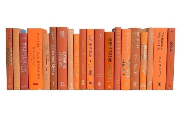 A collection of books in various shades arranged side by side on a shelf