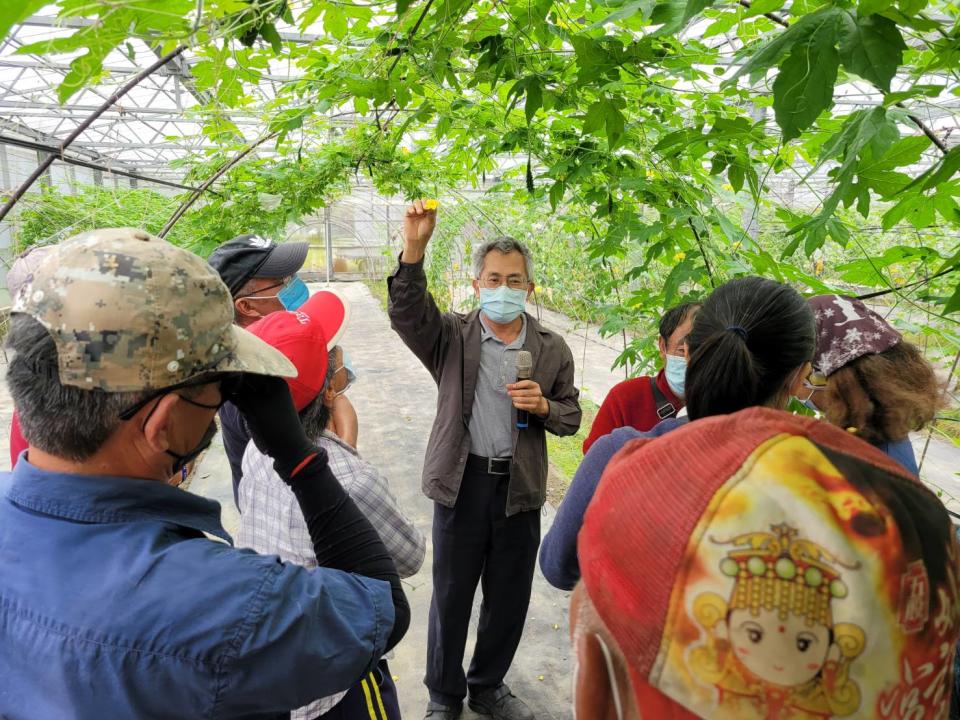 全中和選育高雌花特性山苦瓜，驚訝其產量之高，「我都嚇到了」。圖為全中和向參訪農友作介紹。（圖片提供／花蓮區農業改良場）