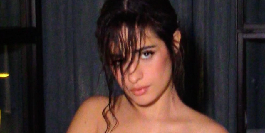 camila cabello naked handbag