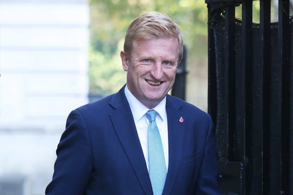 Oliver Dowden said the Conservatives would be holding a “normal Christmas gathering” of London staff (PA)