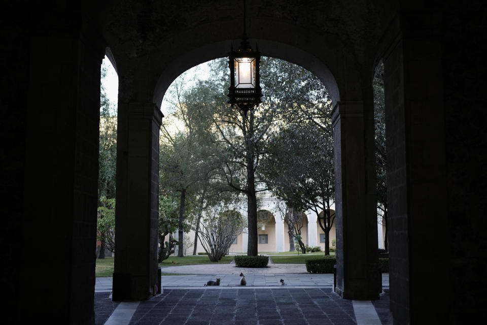 Tres gatos descansan en uno de los patios del Palacio Nacional en Ciudad de México, el jueves 4 de marzo de 2024. Los tres gatos forman parte de 19 felinos que viven en el Palacio Nacional, declarados "activos fijos vivos". La declaración ha forzado al Tesoro mexicano a proveer comida y cuidados para los animales. (AP Foto/Eduardo Verdugo)