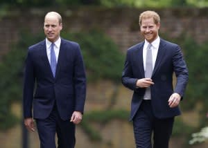 Prince William and Prince Harry Reunite Princess Diana Statue Unveiling Amid Feud 5
