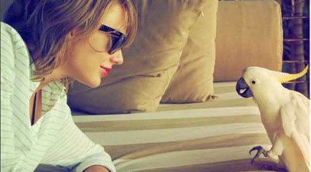 Superstar Taylor Swift with the wildlife on Hamilton Island. Source: Instagram