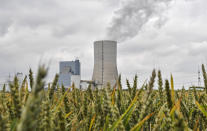 The controversial most modern Uniper Datteln 4 coal-powered plant steams behind a corn field one month after the operational start in Datteln, Germany, Friday, July 3, 2020. The state governors Dietmar Woidke of Brandenburg, Michael Kretschmer of Saxony, Reiner Haseloff of Saxony-Anhalt and Armin Laschet of North Rhine-Westphalia meet in Berlin for the adoption by the Bundestag and Bundesrat of the laws on coal phase-out and structural strengthening in the affected federal states. (AP Photo/Martin Meissner)