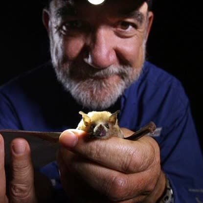 Rodrigo Medellín es investigador del Laboratorio de Ecología y Conservación de Vertebrados Terrestres del Instituto de Ecología de la  UNAM. Foto: Instagram @batmanmedellin