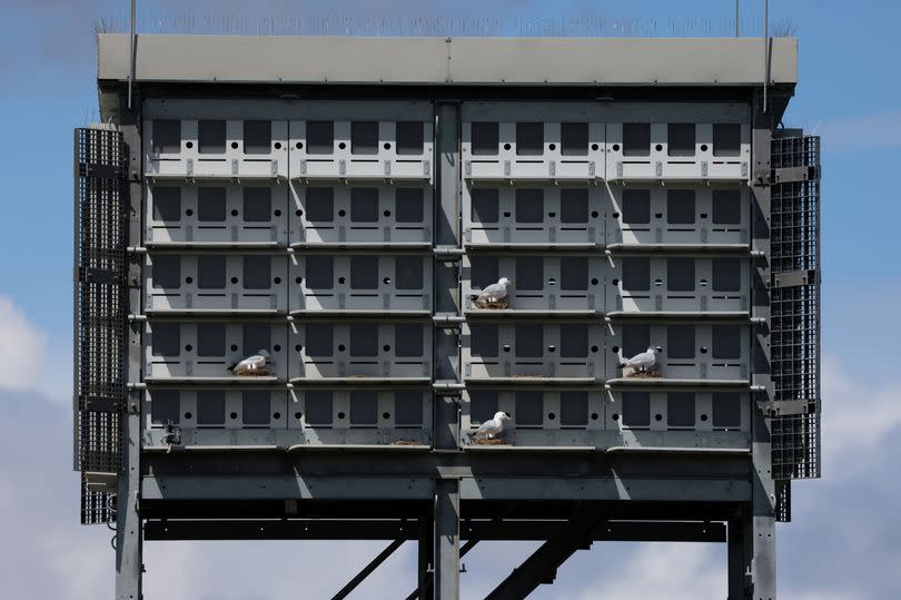 The new “Kittiwakery” tower in Gateshead