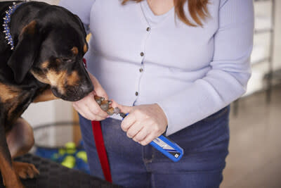 The Dremel 7350-PETD is easy to use for pets of all sizes and gives users full control over their pet's nails from multiple angles.