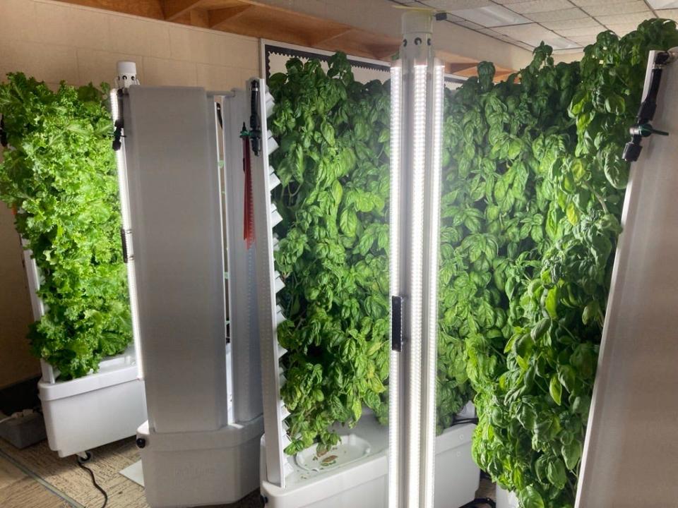 Vincent High School in Milwaukee has 12 vertical Flex Farms that grow hydroponic produce.