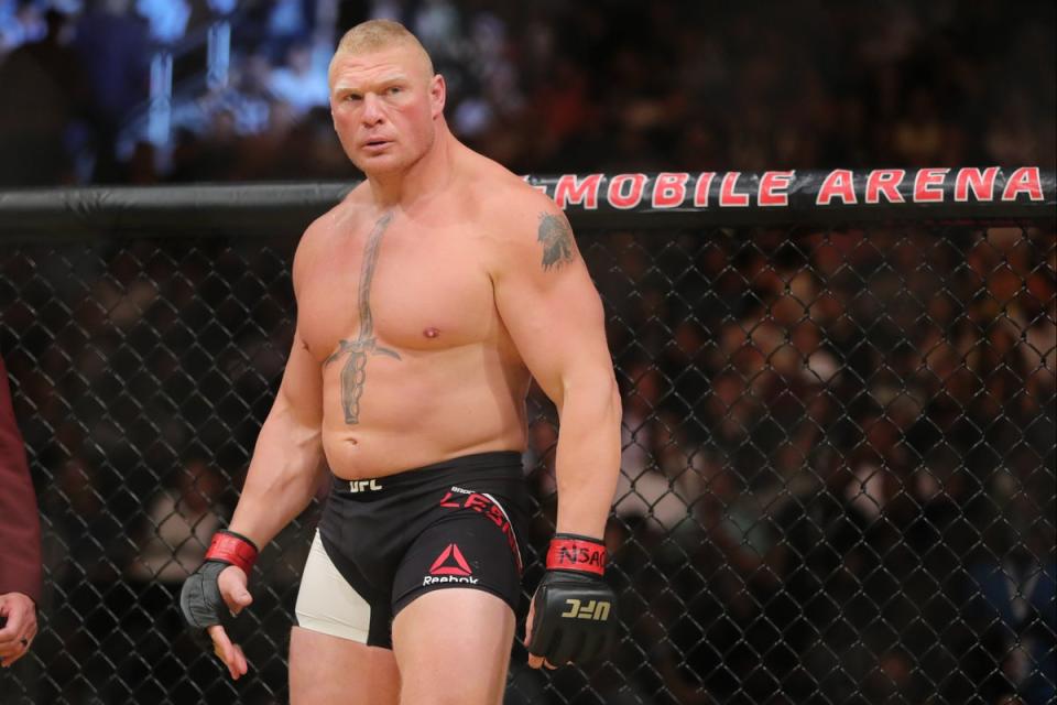 Brock Lesnar is a former UFC heavyweight champion (Getty Images)