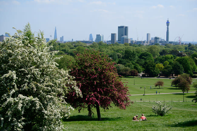 primrose-hill