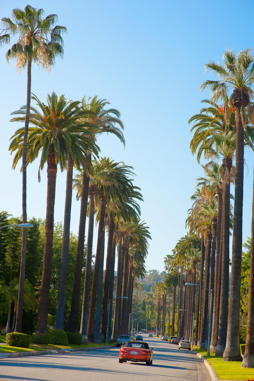 Hire a car and drive down the iconic palm tree-lined streets. Photo: Supplied