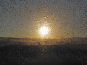 I've always wondered if a "plague of locusts" could block out the sun. They come close. (Photo and caption by Anthony Mercer/National Geographic Photo Contest) <br> <br> <a href="http://ngm.nationalgeographic.com/ngm/photo-contest/2012/entries/recent-entries/" rel="nofollow noopener" target="_blank" data-ylk="slk:Click here to see more contest entries at National Geographic;elm:context_link;itc:0;sec:content-canvas" class="link ">Click here to see more contest entries at National Geographic</a>