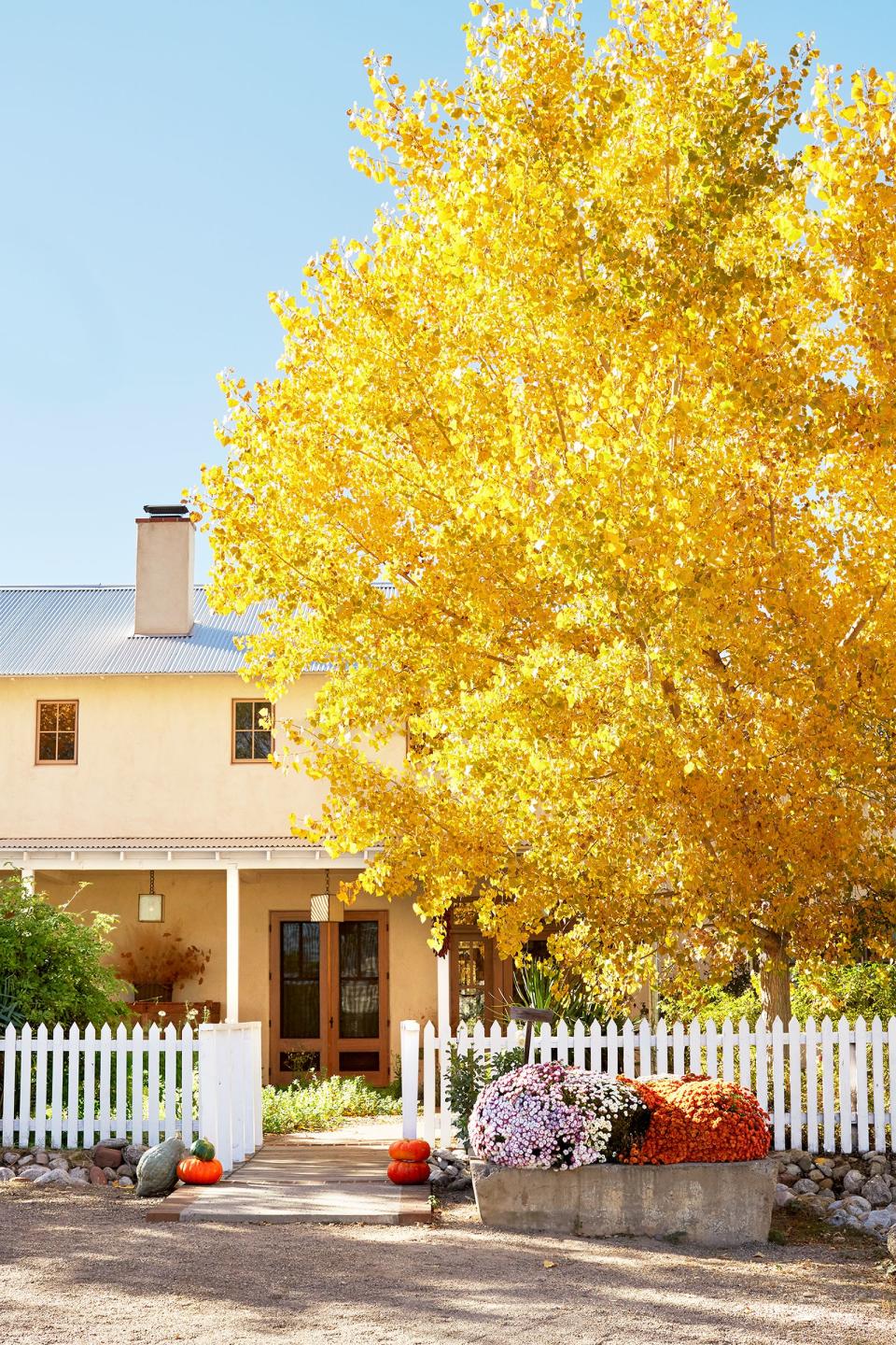 40 Elevated Ways To Decorate Your Porch This Fall