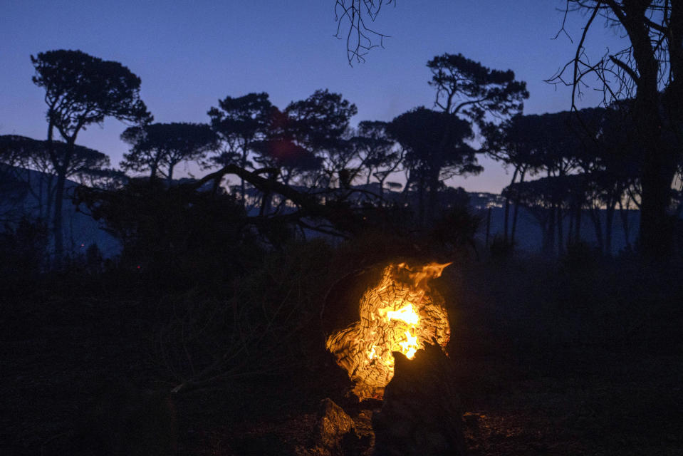 A log burns in Cape Town, South Africa, Monday, April 19, 2021. Residents are being evacuated from Cape Town neighborhoods after a huge fire spreading on the slopes of the city's famed Table Mountain was fanned by strong winds overnight and threatened houses.(AP Photo/Jerome Delay)