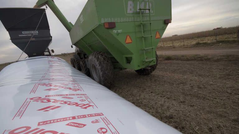 Hay tensión por la carga de silobolsas desde los campos