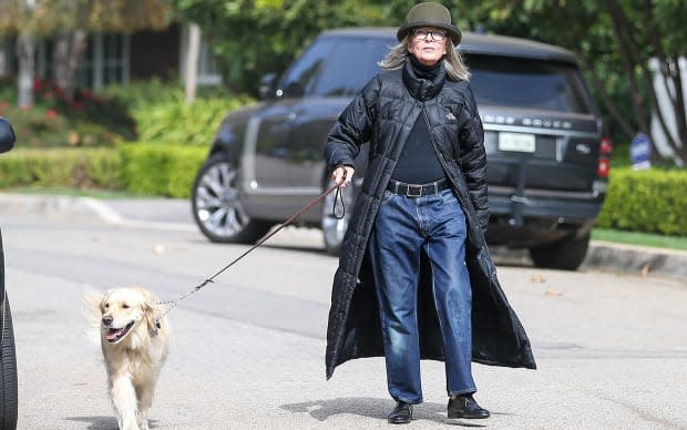 Diane Keaton walking her dog, Reggie<p>Bellocqimages/Bauer-Griffin/GC Images</p>