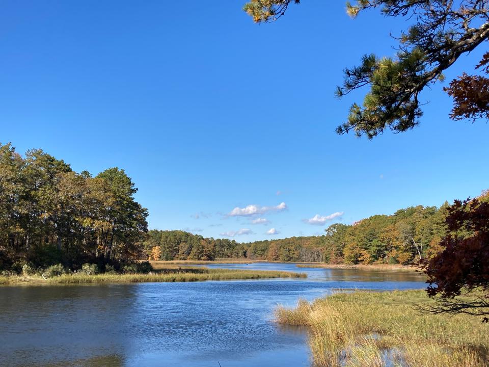 The magnificent Mashpee River, as seen from the a trail in the Mashpee River Woodlands.