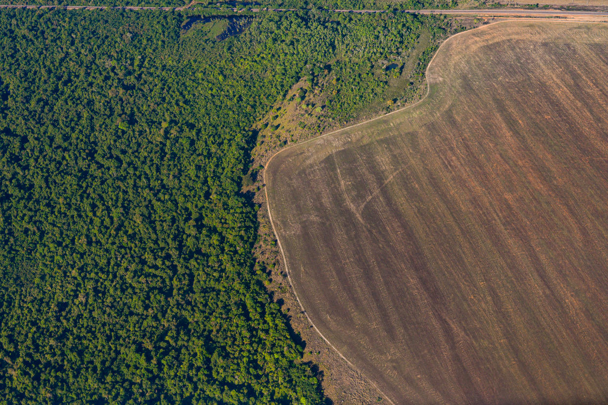Aerial view of deforestation in the Amazon caused by the expansion of agricultural areas. - Reserva Legal