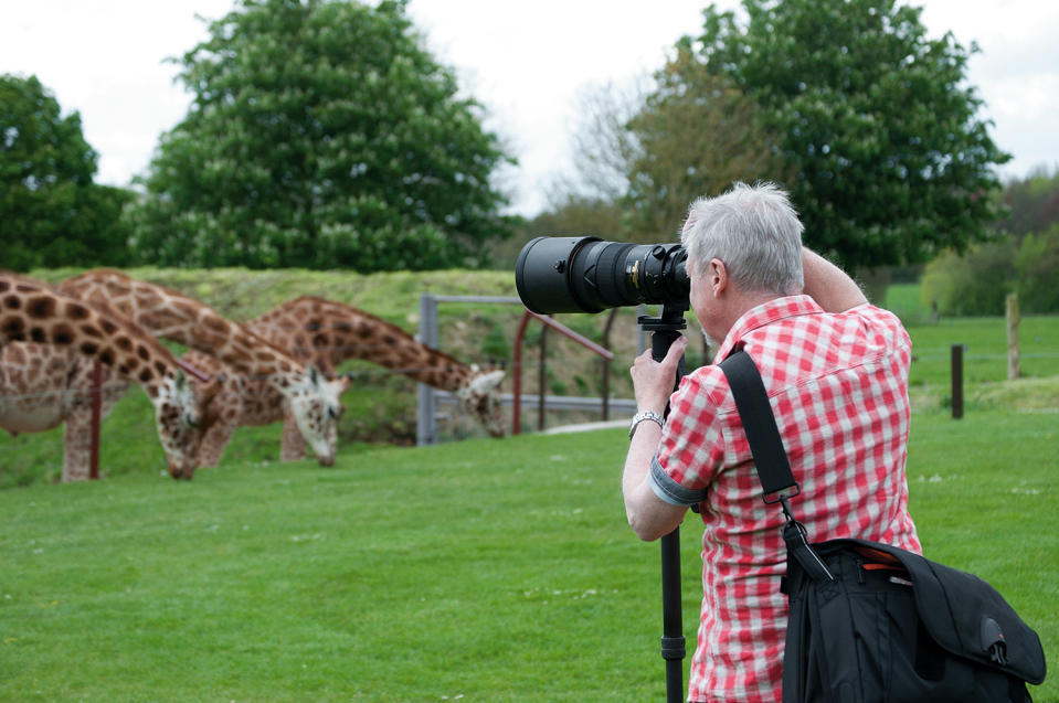 Best camera lens: best lenses for wildlife photography