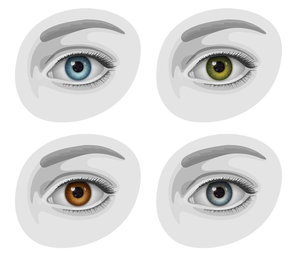 Eyes of blue, gray, green and brown colors