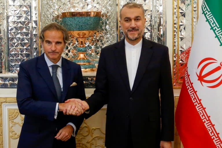 Rafael Grossi (izq) posa junto al ministro iraní Hossein Amir Abdoulahian durante la reunión del 6 de mayo de 2024 en Teherán (-)