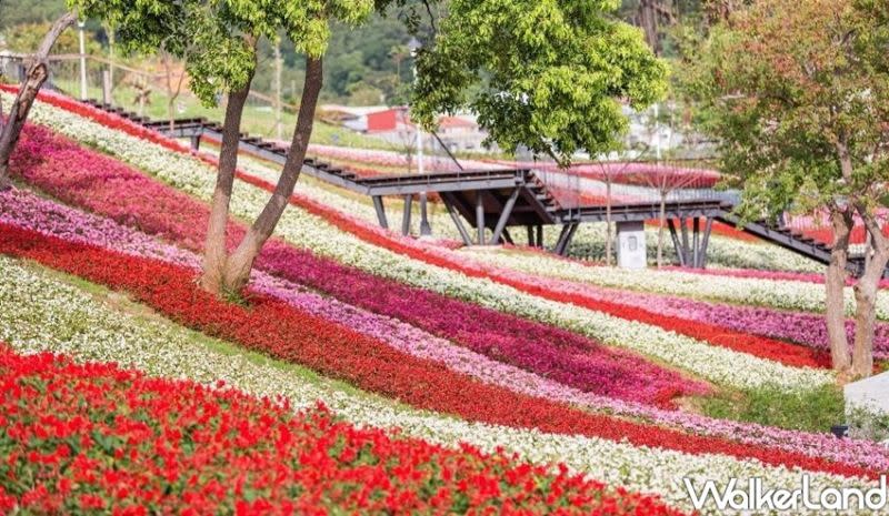 ▲「北投社三層崎公園」，效仿日本打卡聖地「富良野花海」的植栽種植藝術。（圖／Taipei Walker提供）